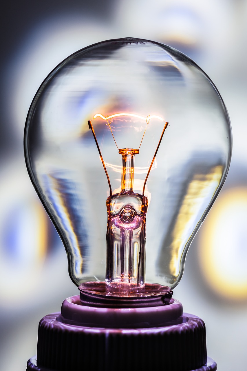 Free Incandescent Bulb & Light Bulb Image