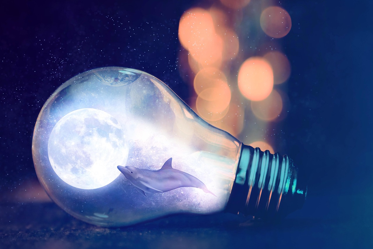 Light Bulb Planet Dolphin Sea