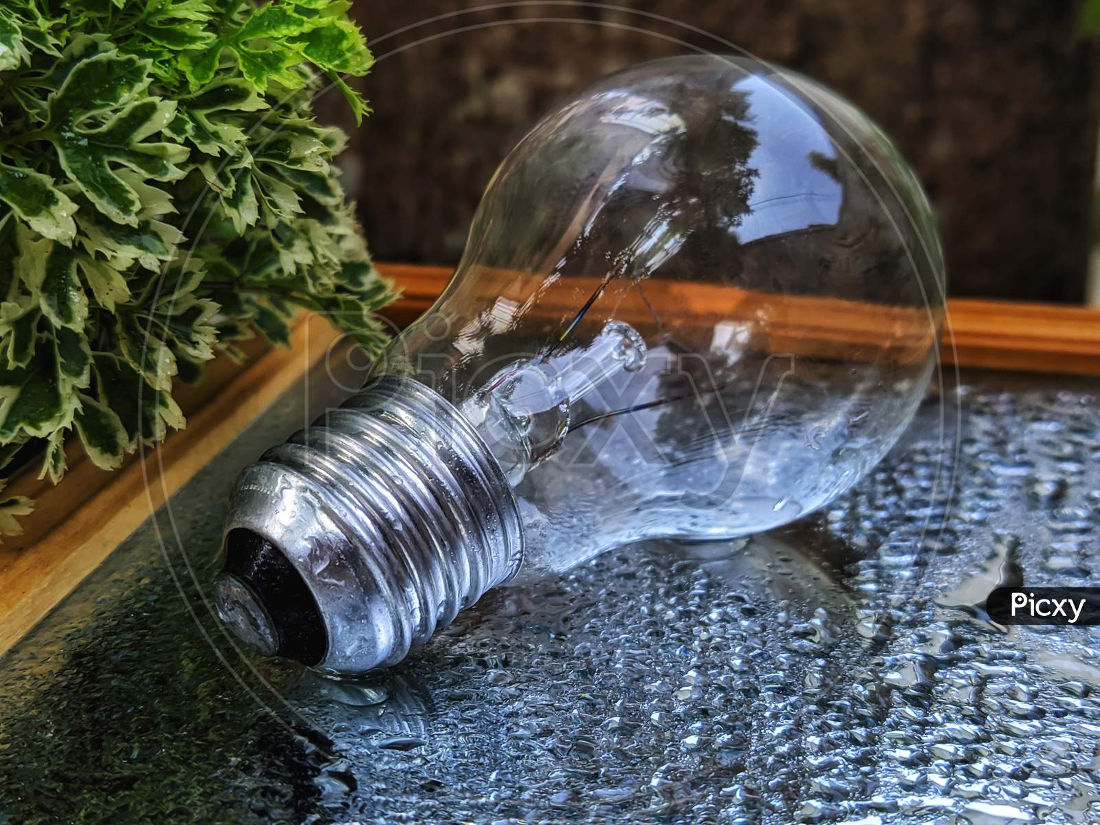 Image Of Abstract Light Bulb Wallpaper OQ663159 Picxy