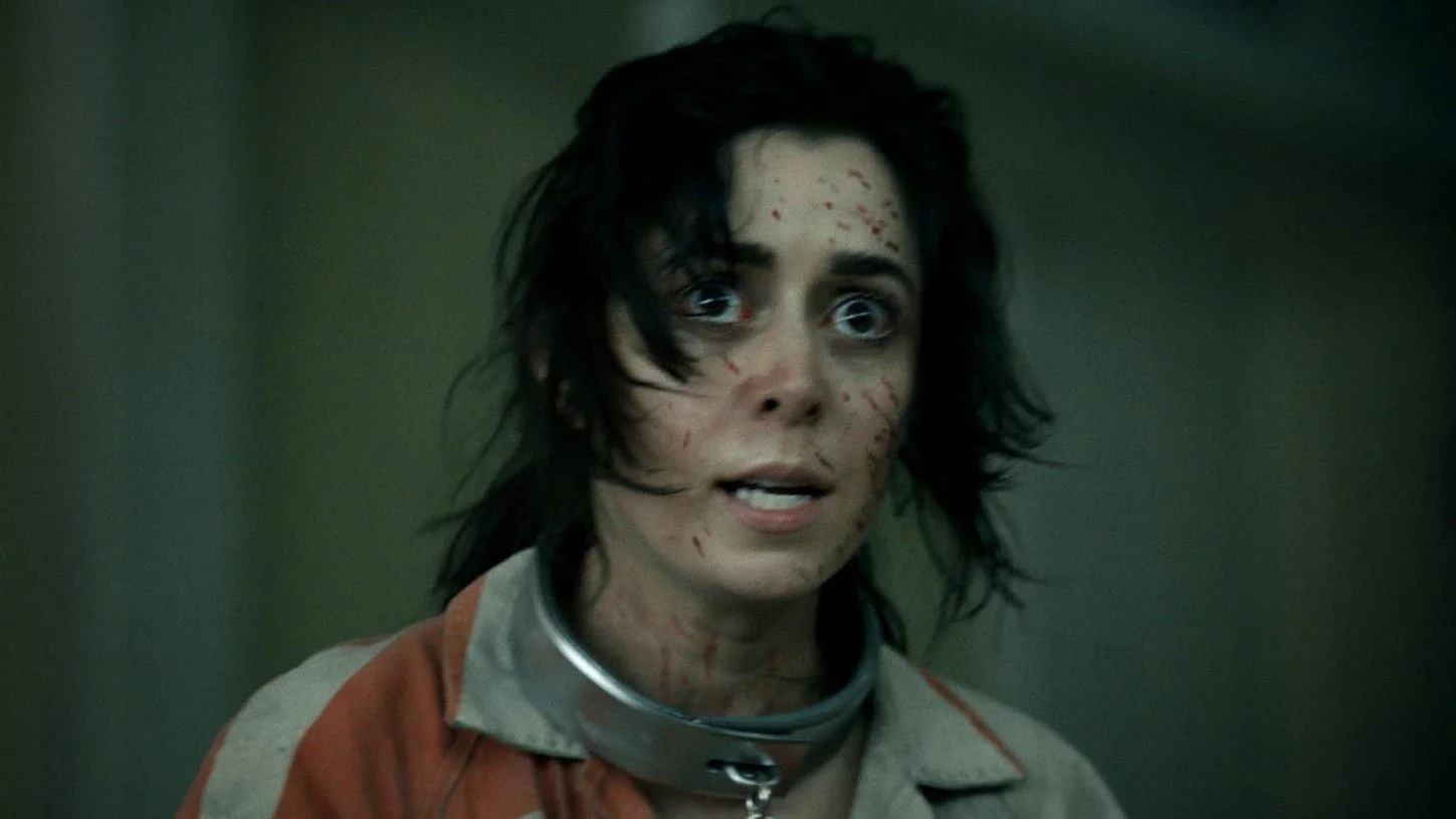 I Love You, Sofia Falcone