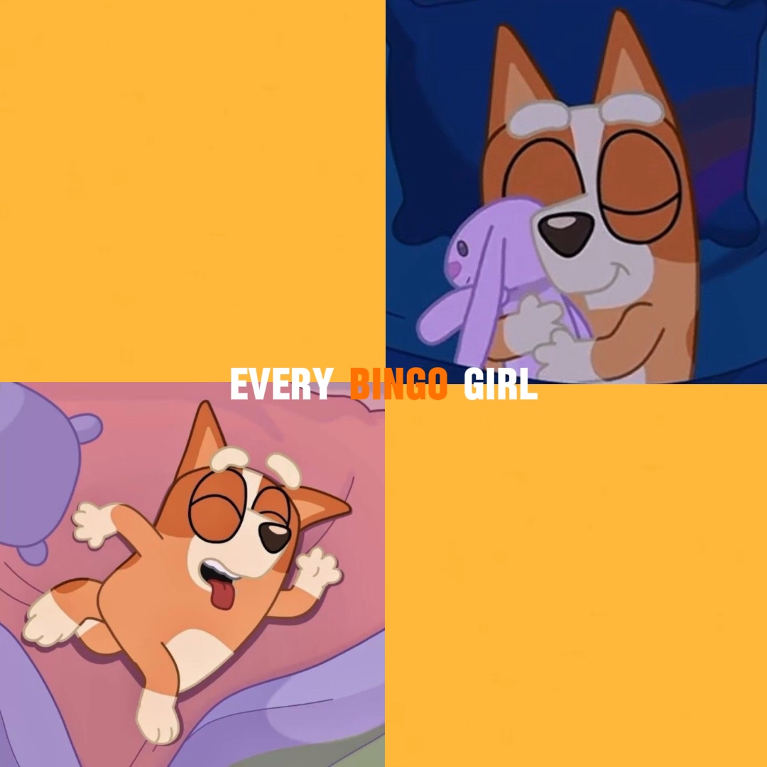 Bingo and Bluey Baddie