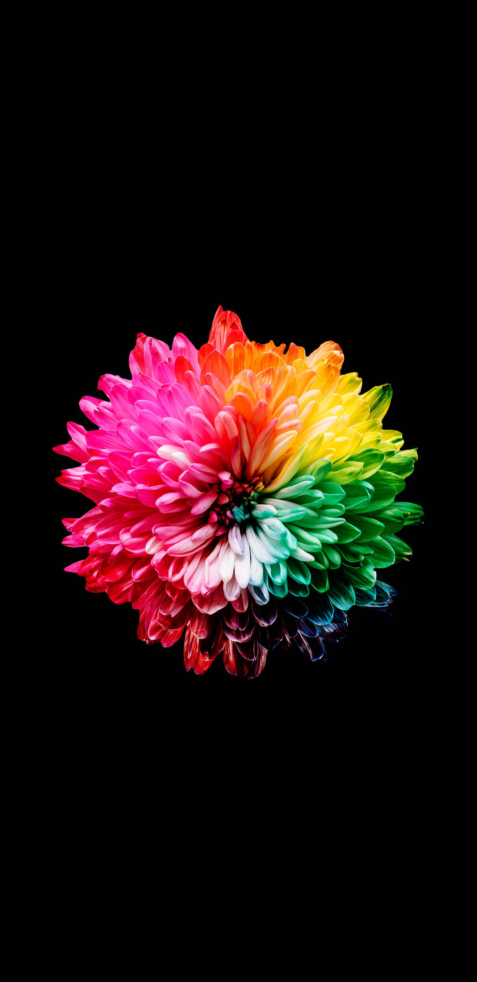 Download Brighten up your life with Colorful AMOLED Wallpaper