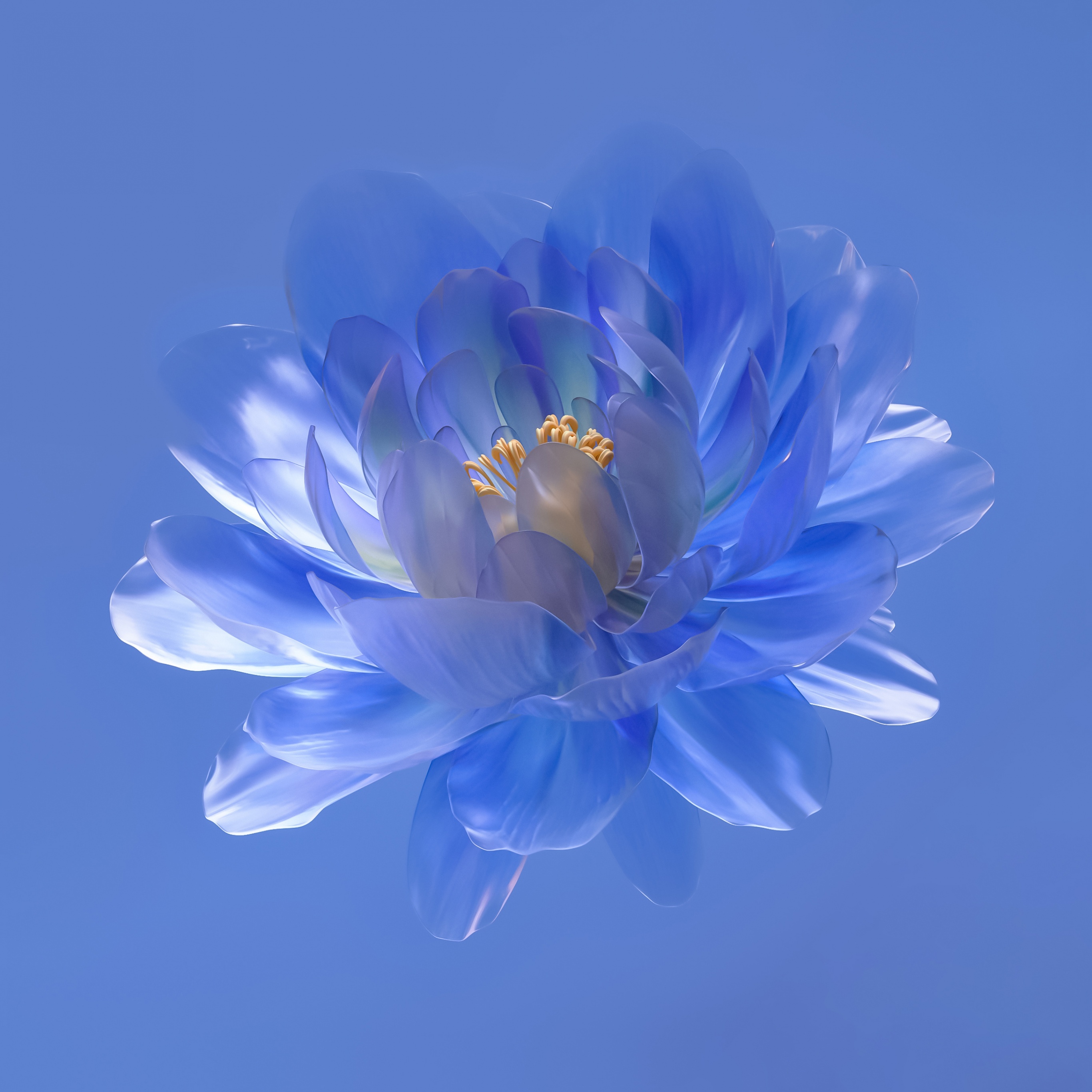 Abstract flower Wallpaper 4K, Blue aesthetic, Blue background