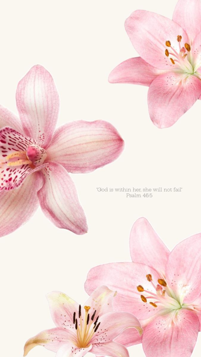 Phone Inspo. Pretty wallpaper iphone, Lily wallpaper, Aesthetic iphone wallpaper