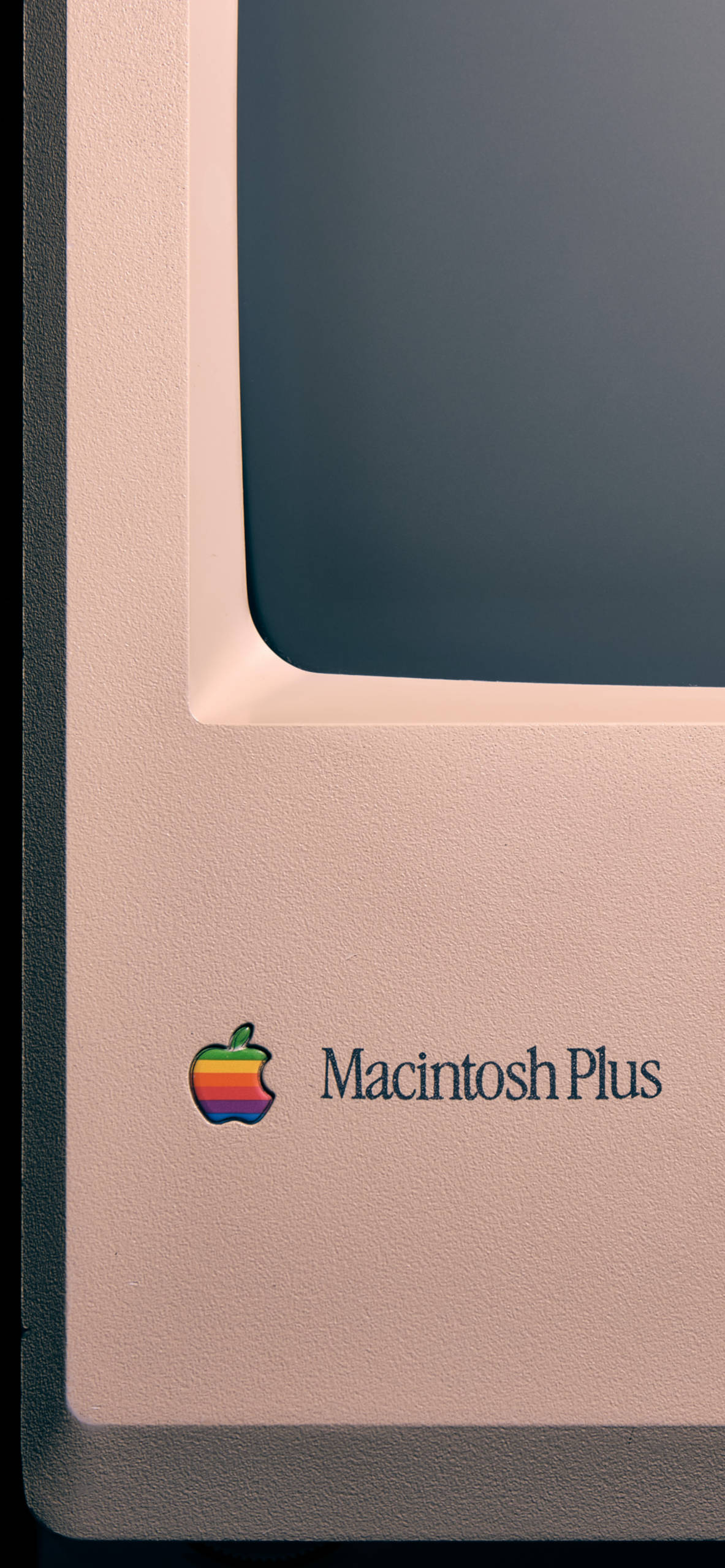 Apple Wallpaper for iPhone 11, Pro Max, X, 8, 7, 6