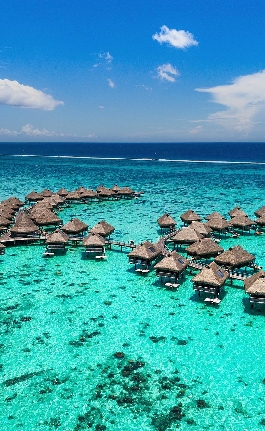 Vanuatu & Fiji Cruises: Feel Alive in Fiji. Royal Caribbean Cruises