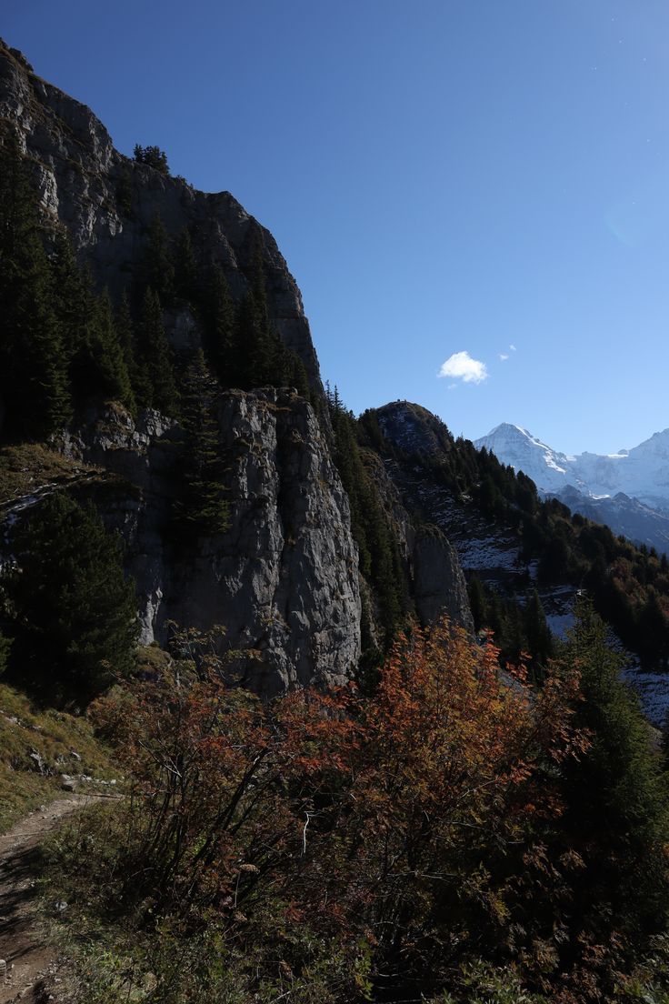 Vivo Y20 Wallpaper Full HD