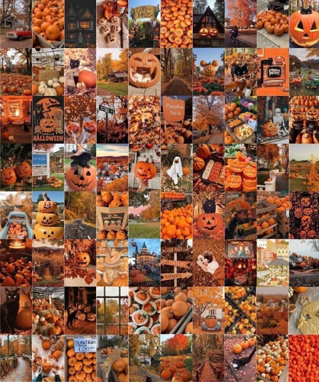 80PCS Halloween Fall Collage Kit. Pumpkin Photo Collage. Fall Breeze & Autumn Picture Room Decor. Fall Aesthetic. (DIGITAL DOWNLOAD)