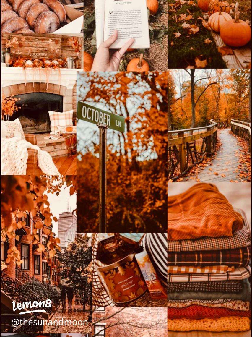 Stunning Fall Background for Your Seasonal Aesthetic