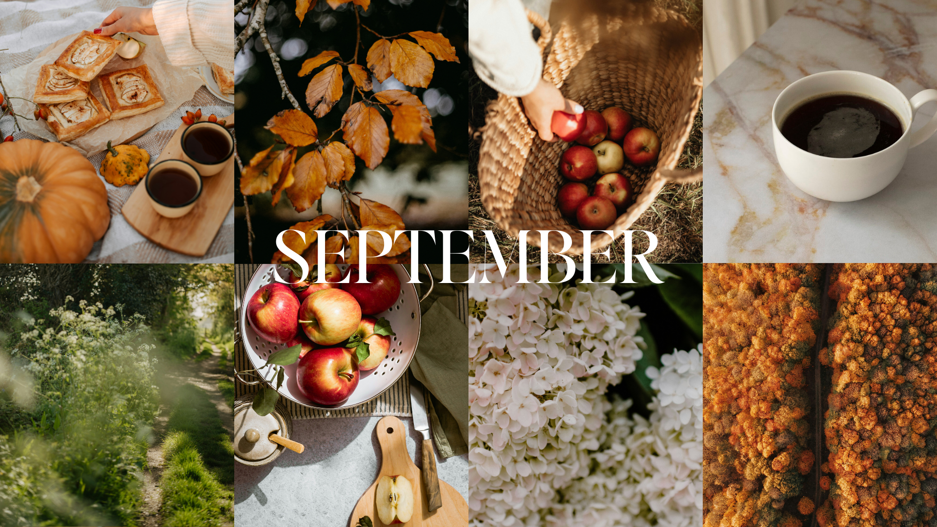 Free September Tech Background for your iPhone and Desktop