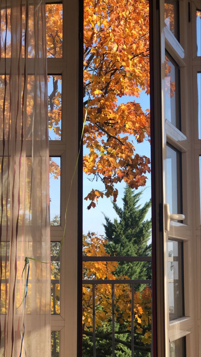 autumn ambience. Autumn aesthetic, Window view, Fall wallpaper