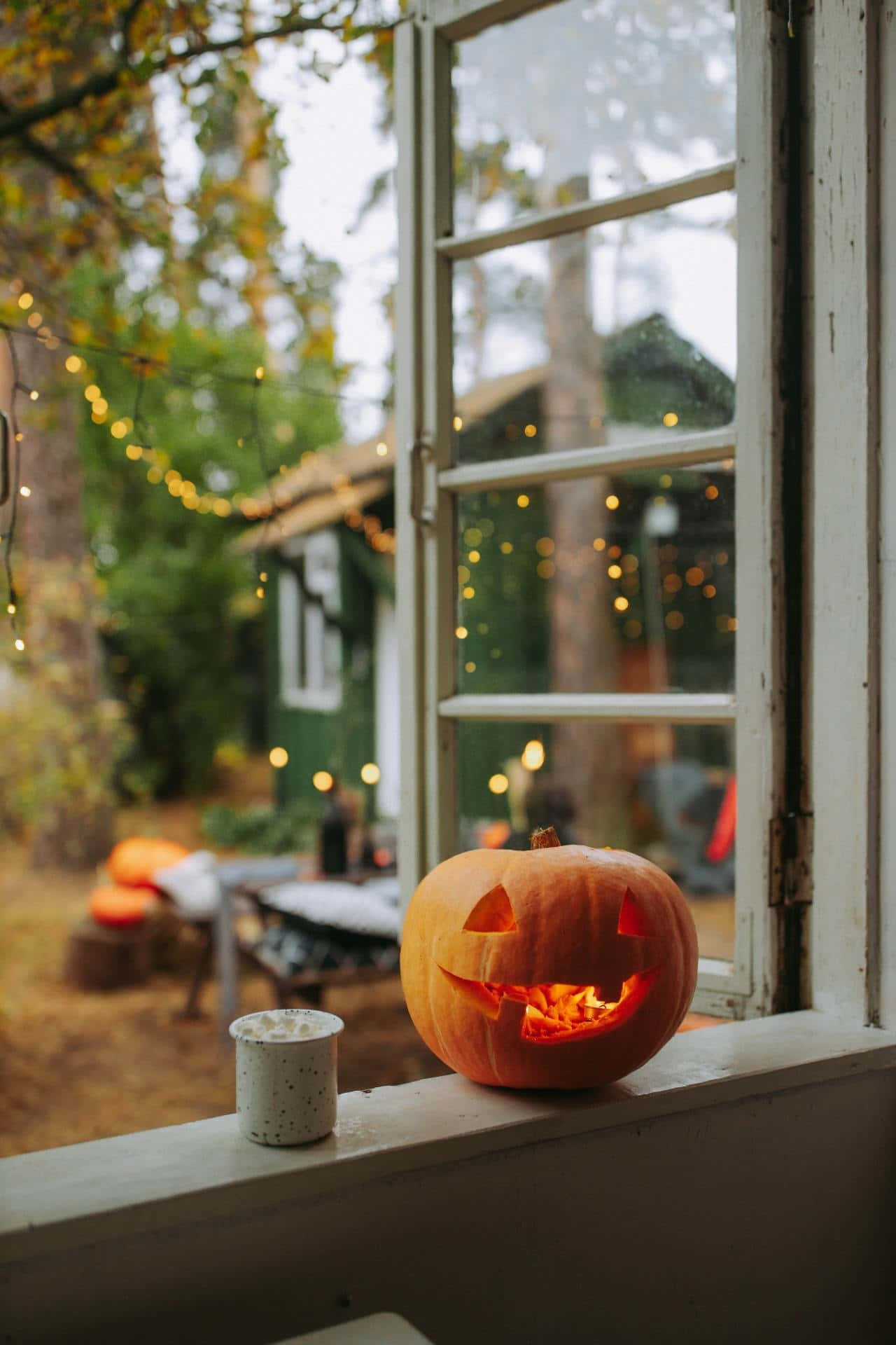 Download Cozy Autumn Window With Jack O Lantern Wallpaper
