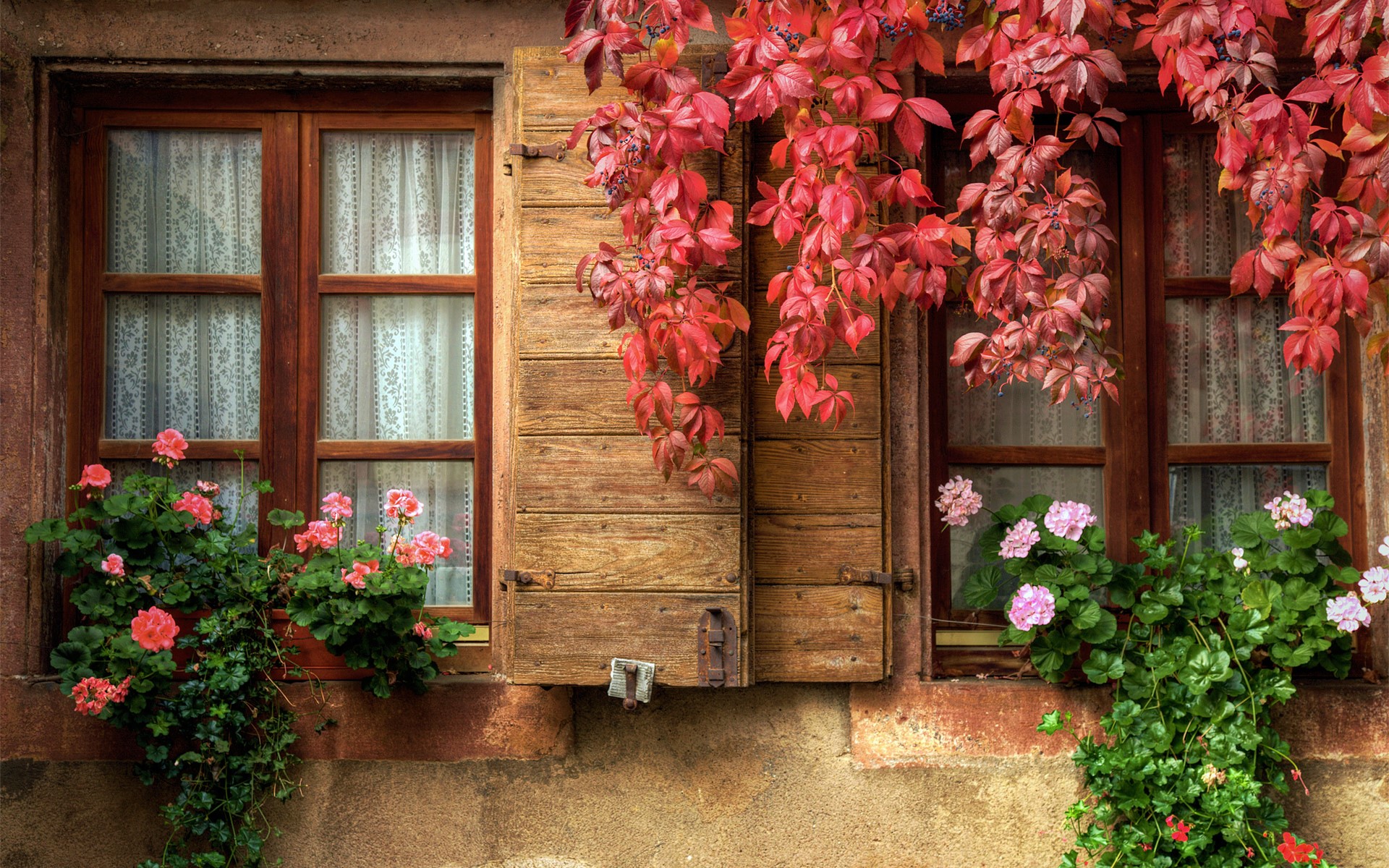 Autumn Ivy Draped Window with Floral Curtains