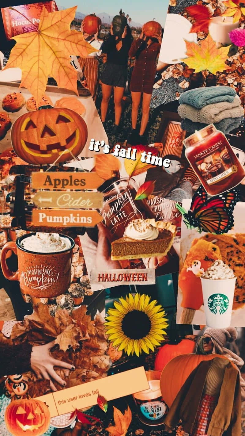 Download Fall Halloween Collage Aesthetic Wallpaper