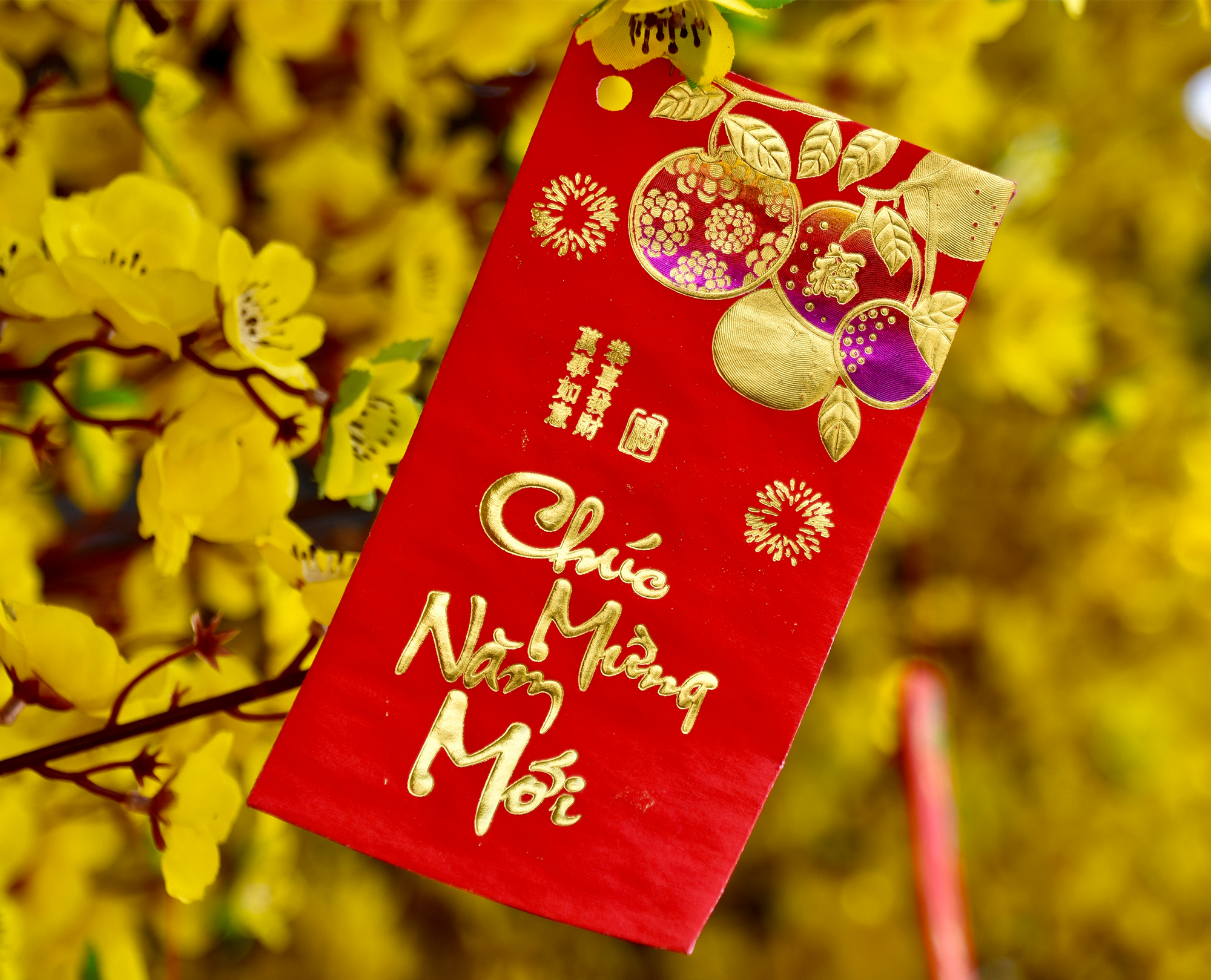 Tet 2026: Vietnamese Lunar New Year