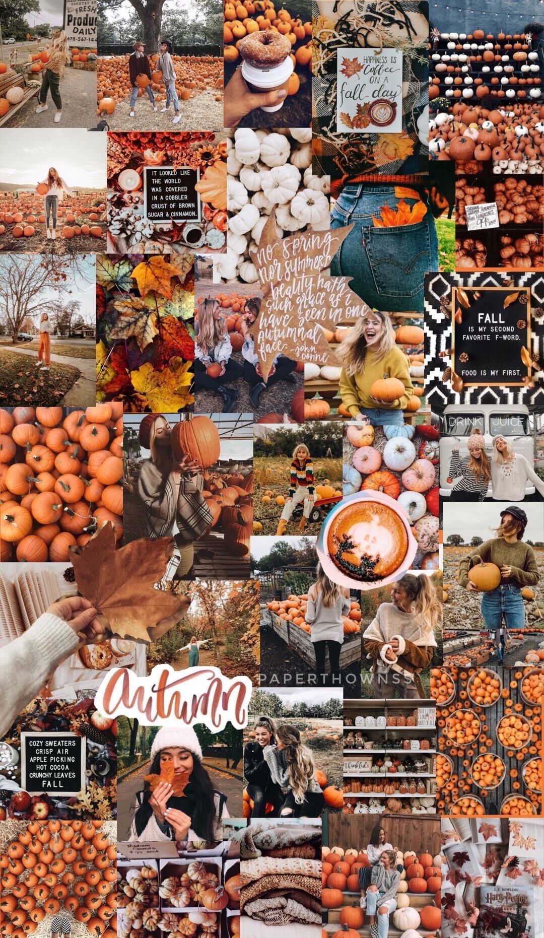 Fall Collage Wallpaper, HD Fall Collage Background on WallpaperBat
