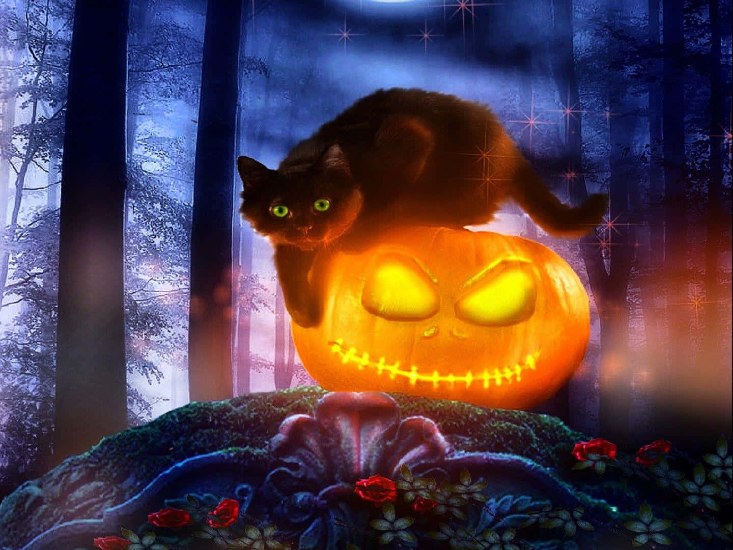 Black Cat Halloween Wallpaper