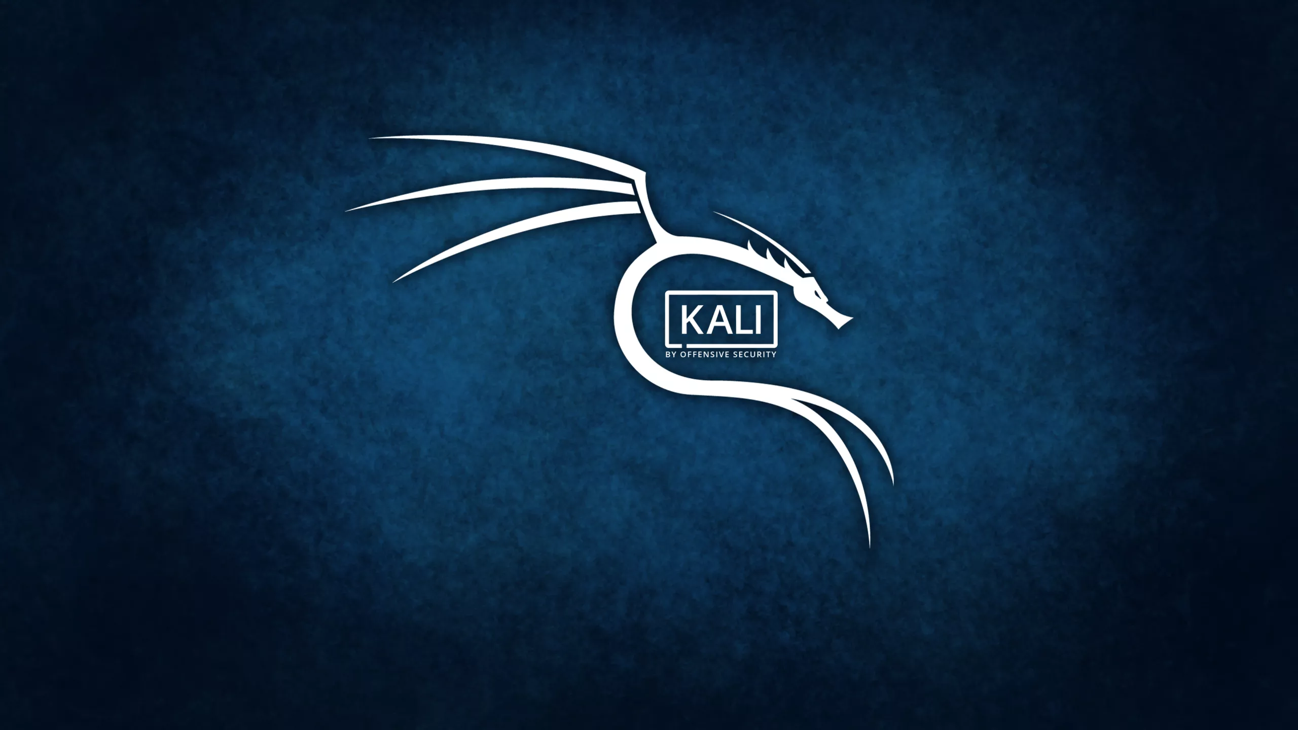 Kali Linux 2025.2 Download Free