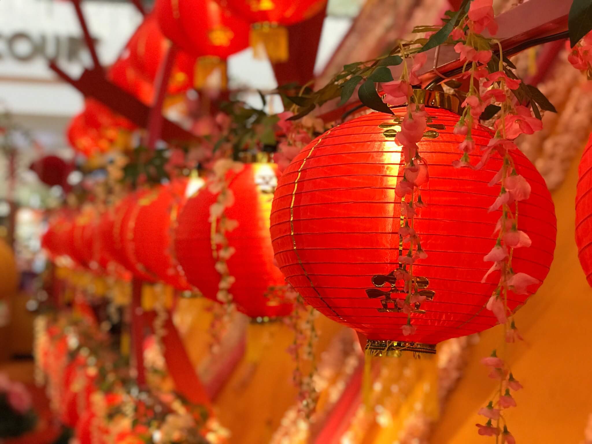 Chinese New Year (February 17th, 2026). Days Of The Year