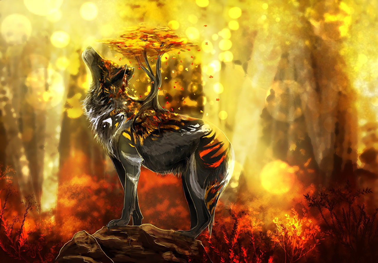 Photos wolf Fantasy Magical animals