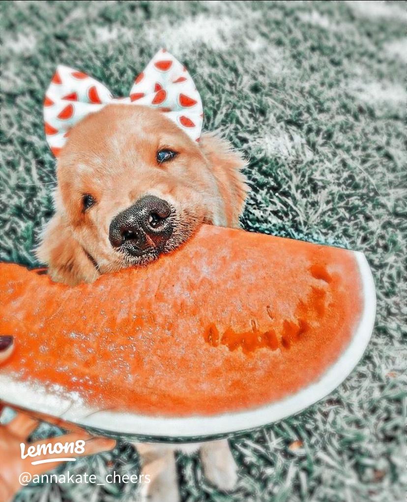 Creative Preppy Profile Picture Ideas for a Trendy Look