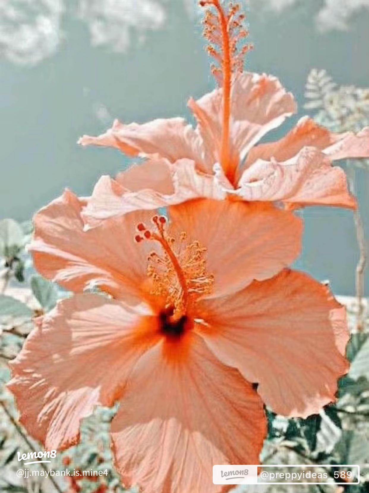 Creative Preppy Profile Picture Ideas for a Trendy Look