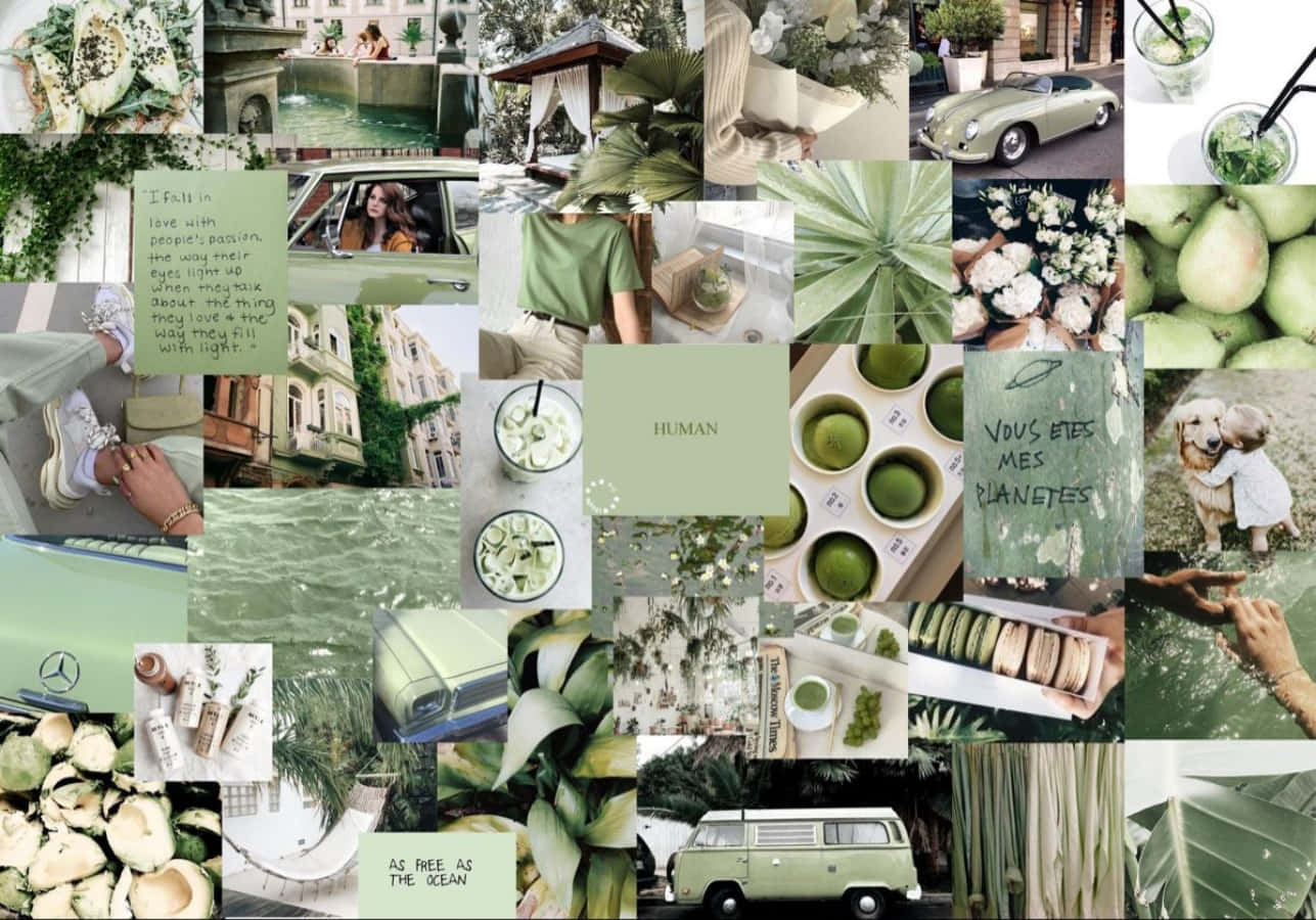 Download Photo Collage Pastel Green Aesthetic Desktop Wallpaper