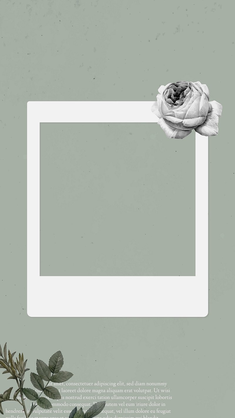 Blank Collage Photo Frame Vector Mobile Phone Wallpaper Image Wallpaper