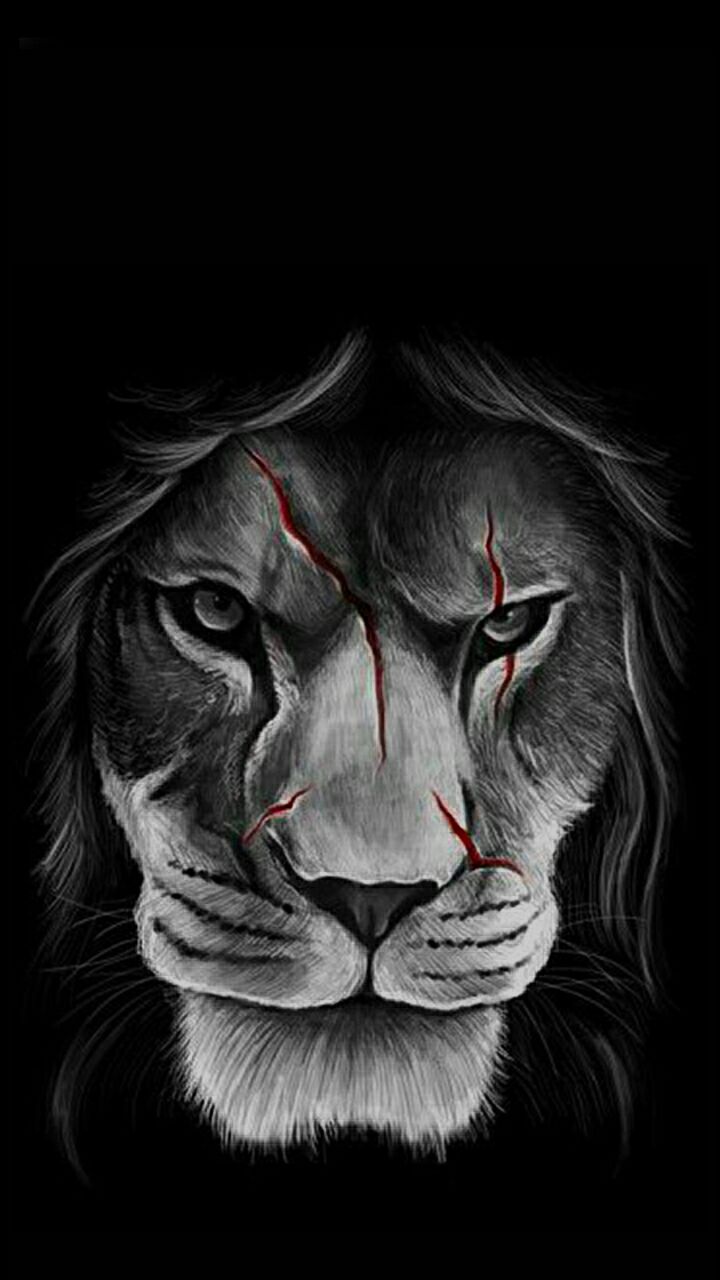 Black and White Lion Drawing with Blood