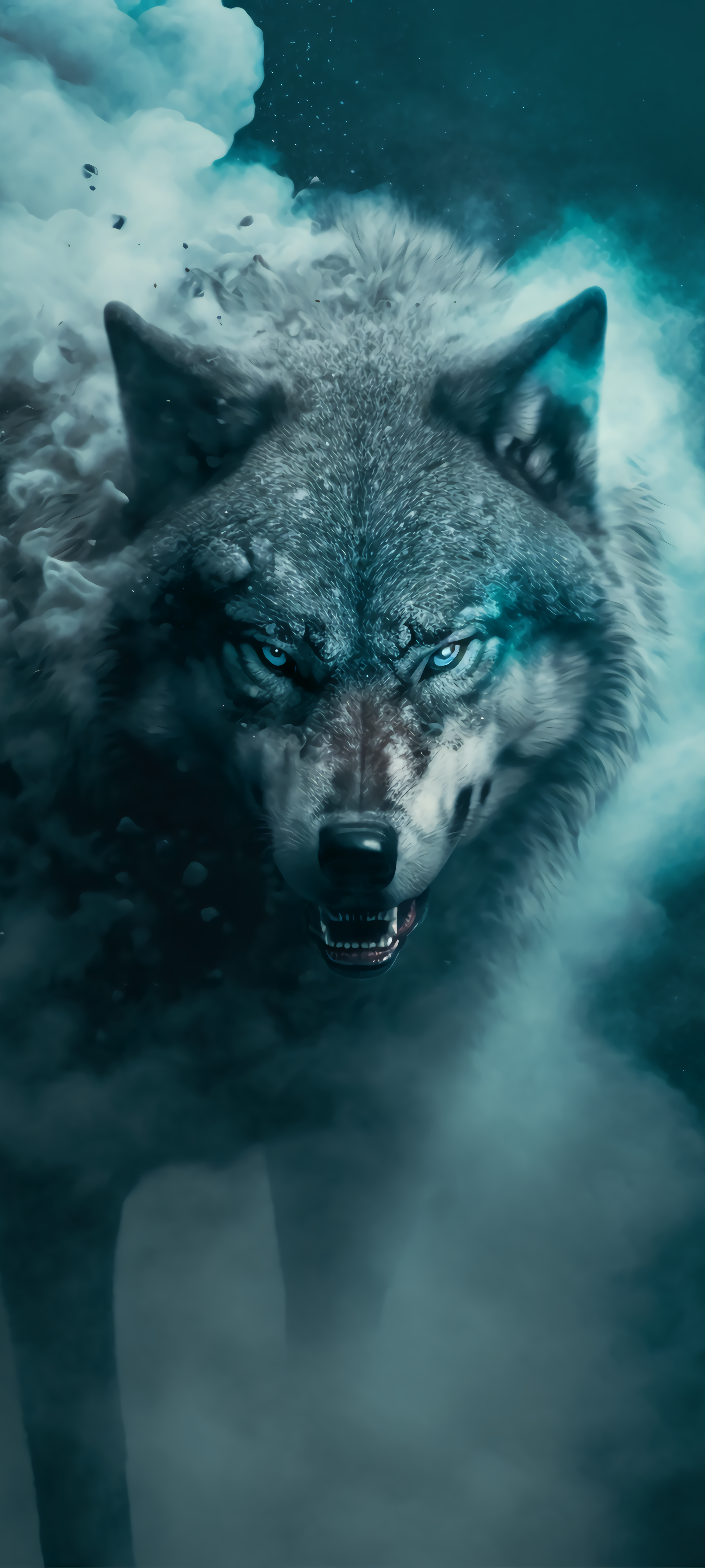 Wolf Wallpaper Free High Quality Background