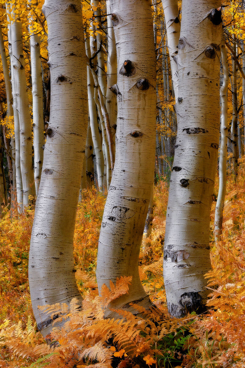 Three Kings. Ohio Pass, Colorado