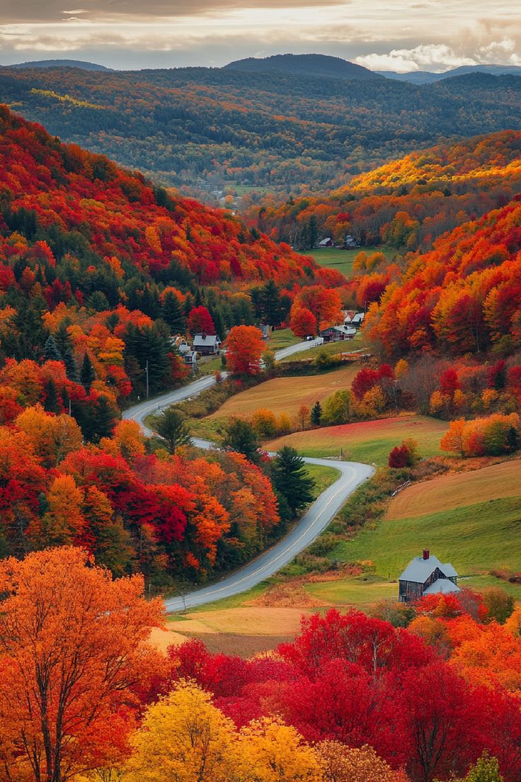 Ranked Fall Foliage Tours in New England 2024
