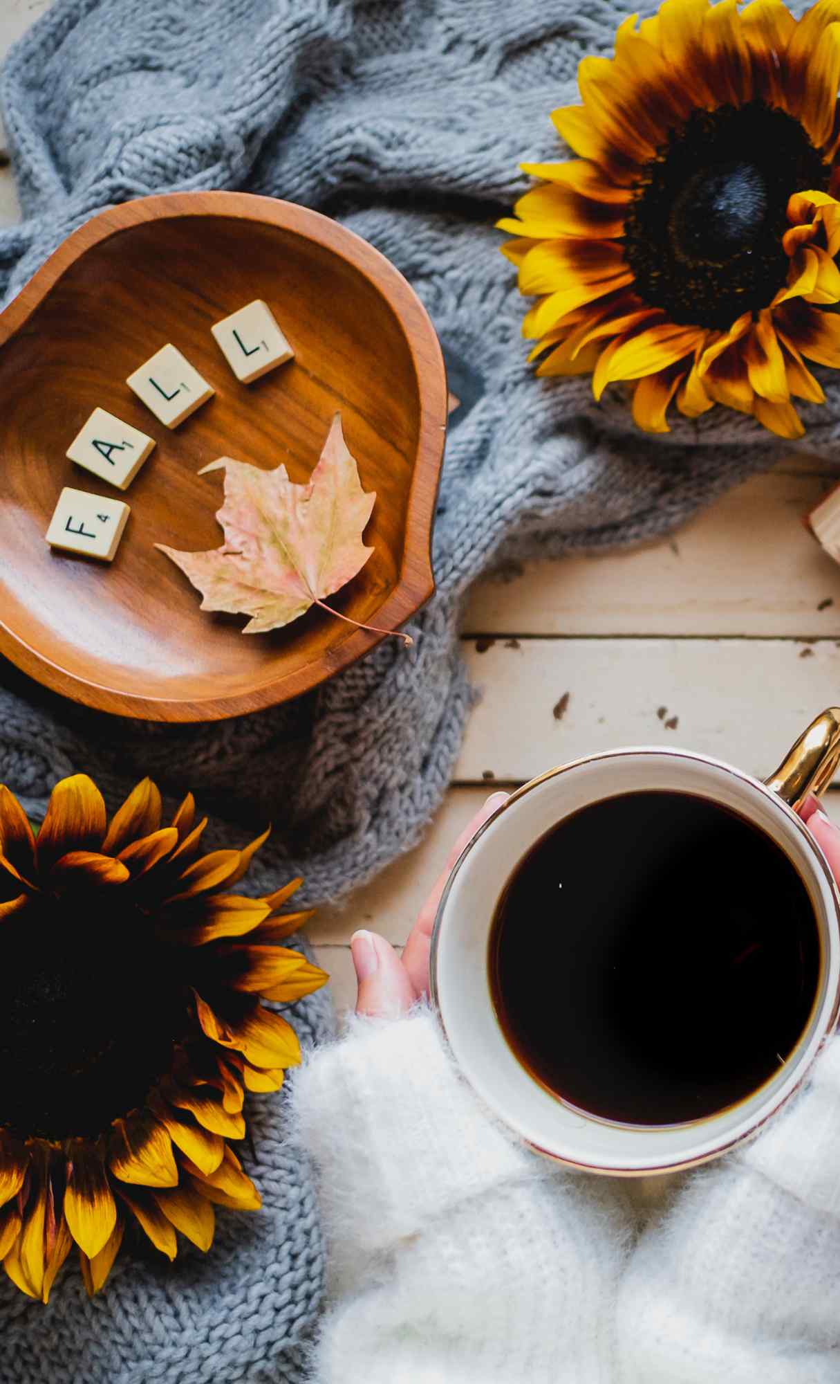 Fall iPhone Wallpaper Cute Fall iPhone Background Ideas for FREE Download