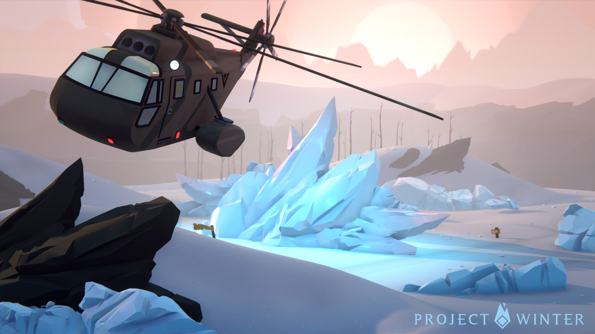 Showcase - Project Winter