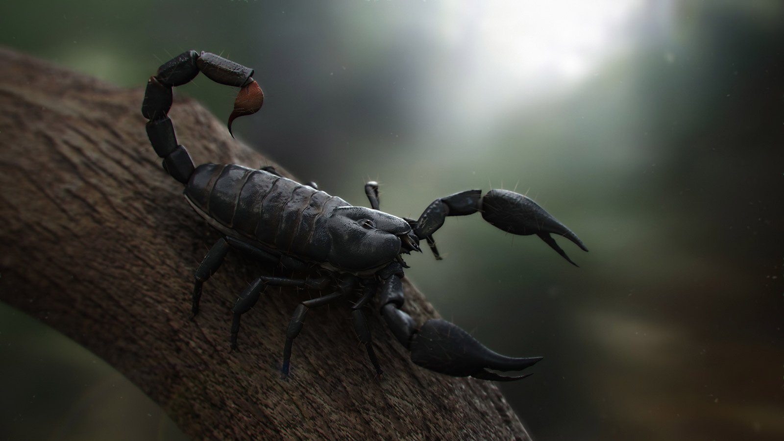 Majestic Scorpion on a Branch