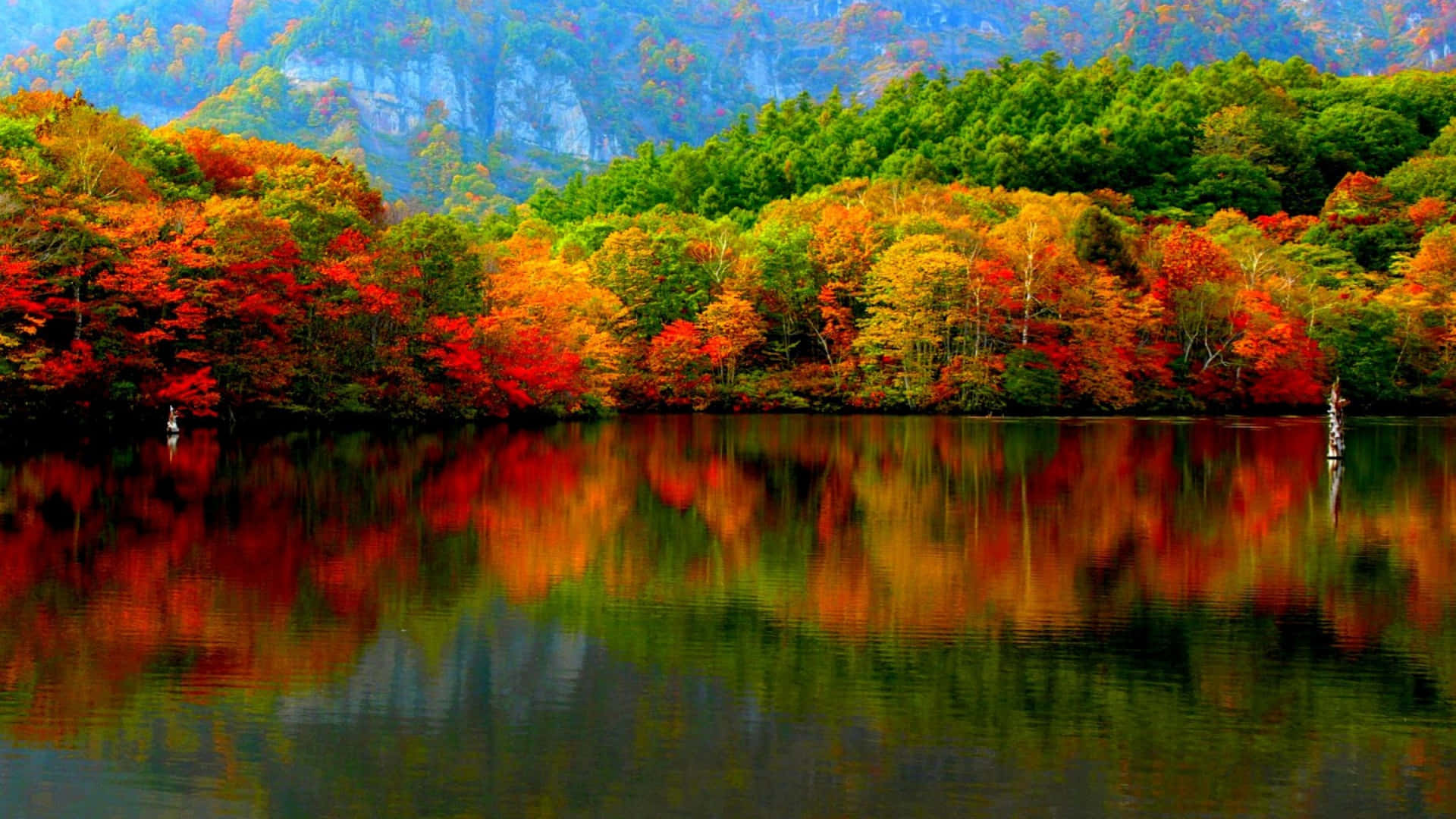 Download A view of stunning autumnal landscape Wallpaper