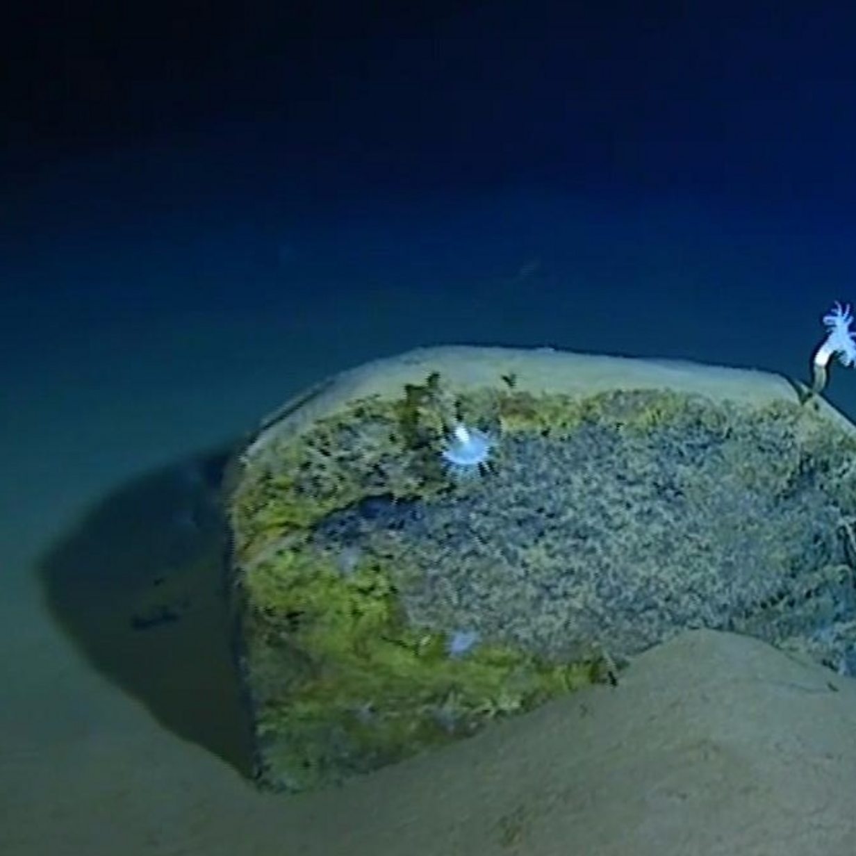 Mariana Trench: Record Breaking Journey To The Bottom Of The Ocean