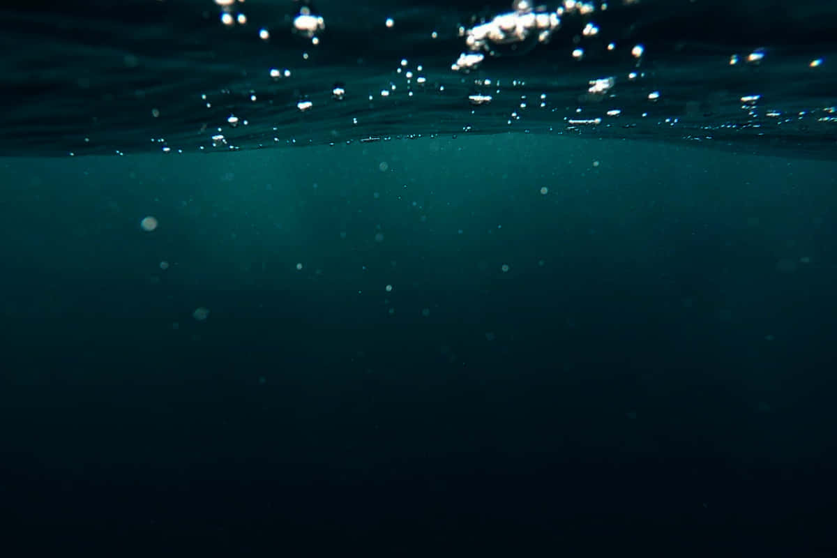 Mariana Trench Picture