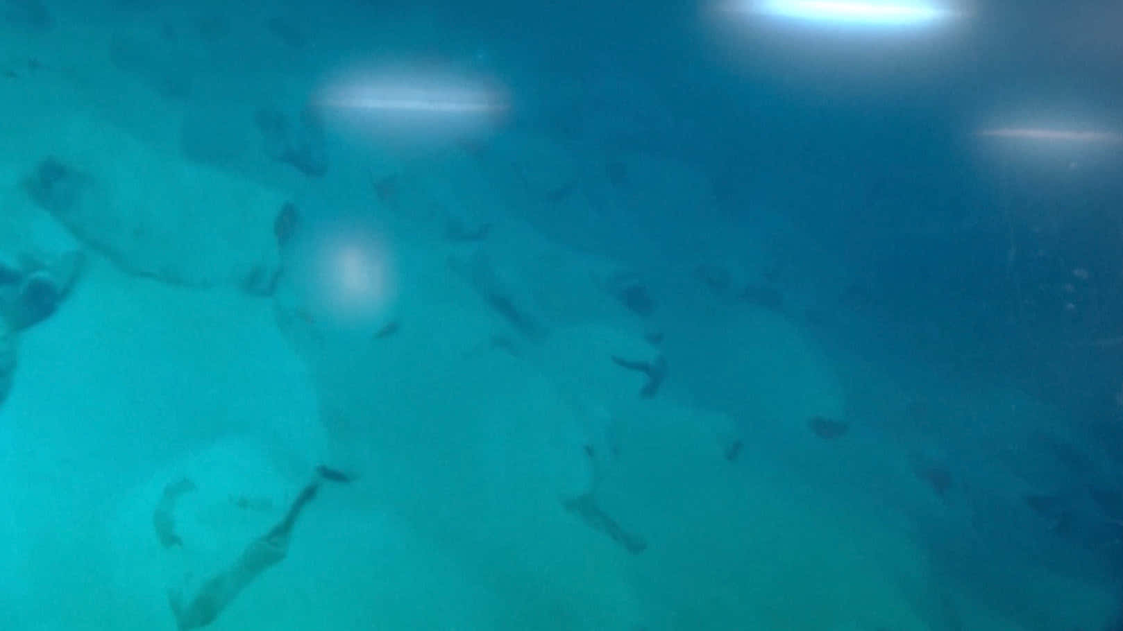 Mariana Trench Picture
