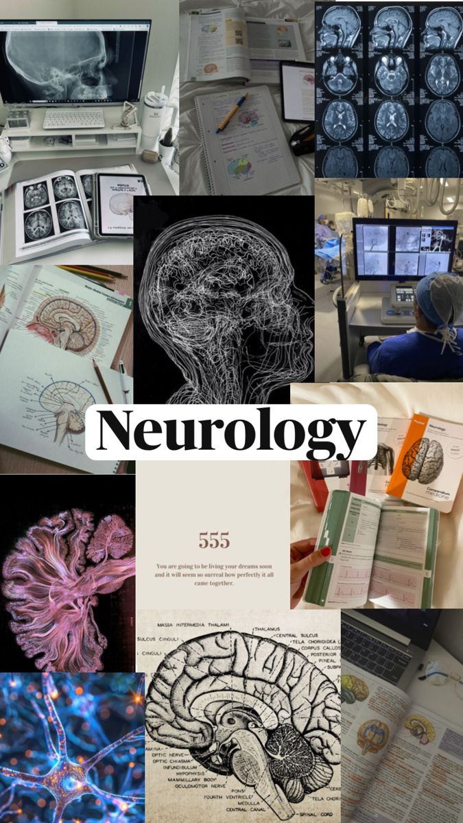 NEUROLOGIST. Neurology, Medical school motivation, Medical school life