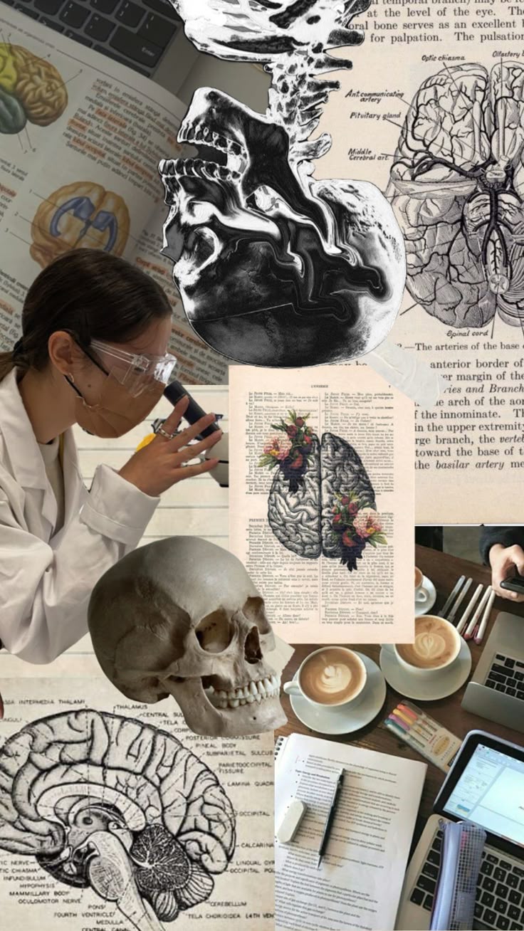 cognitive neuroscience