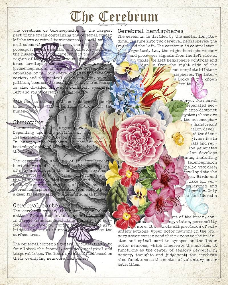 Brain Art Flowers Anatomy, Cerebrum Floral Art, Vintage Watercolor Print, Medical Art, Science Neurology Gift, Nurse Doctor Decor, Neurologist Gift, Brain Surgeon, Medical Office Art, Home & Kitchen