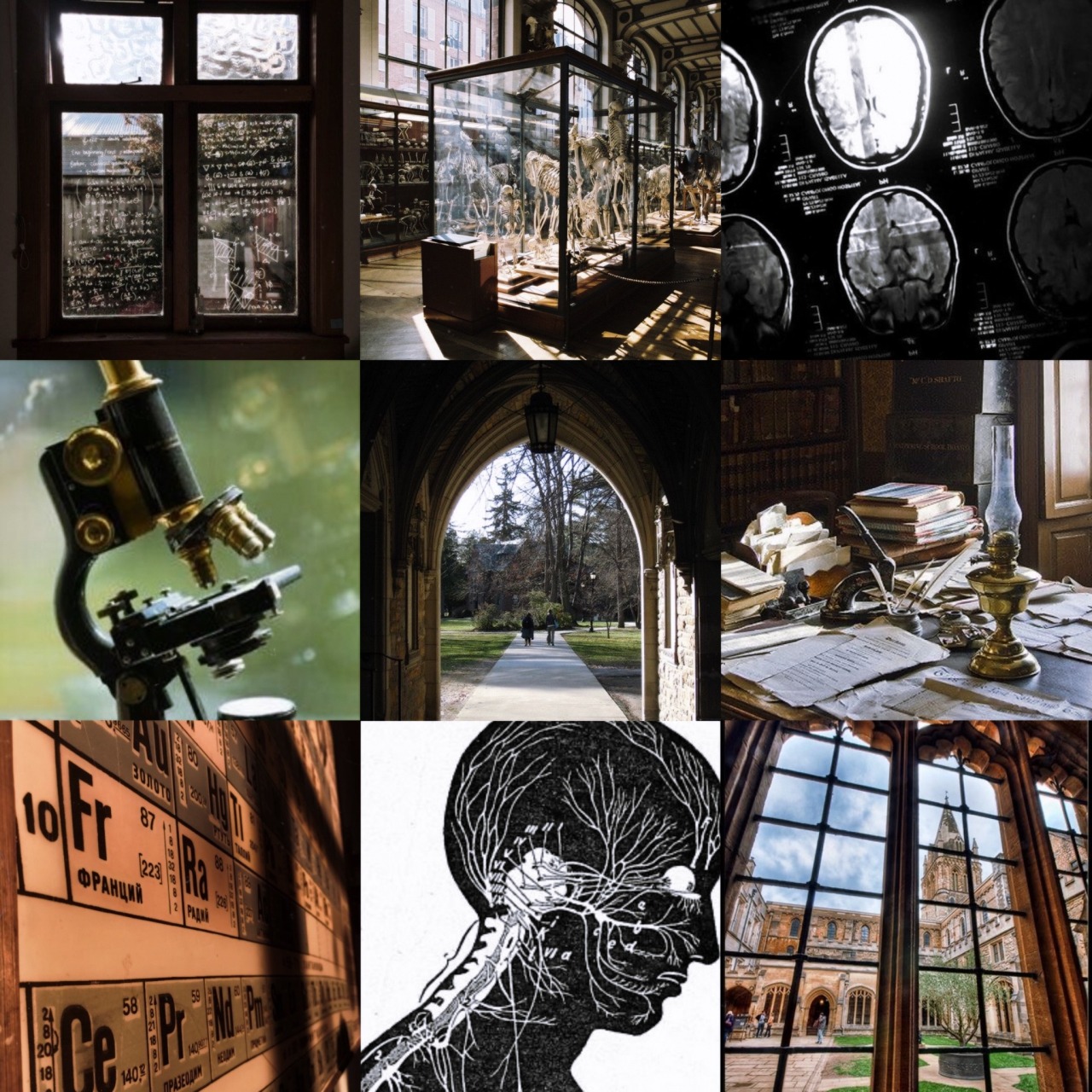 Warsaw Students' Neurosurgical International Conference