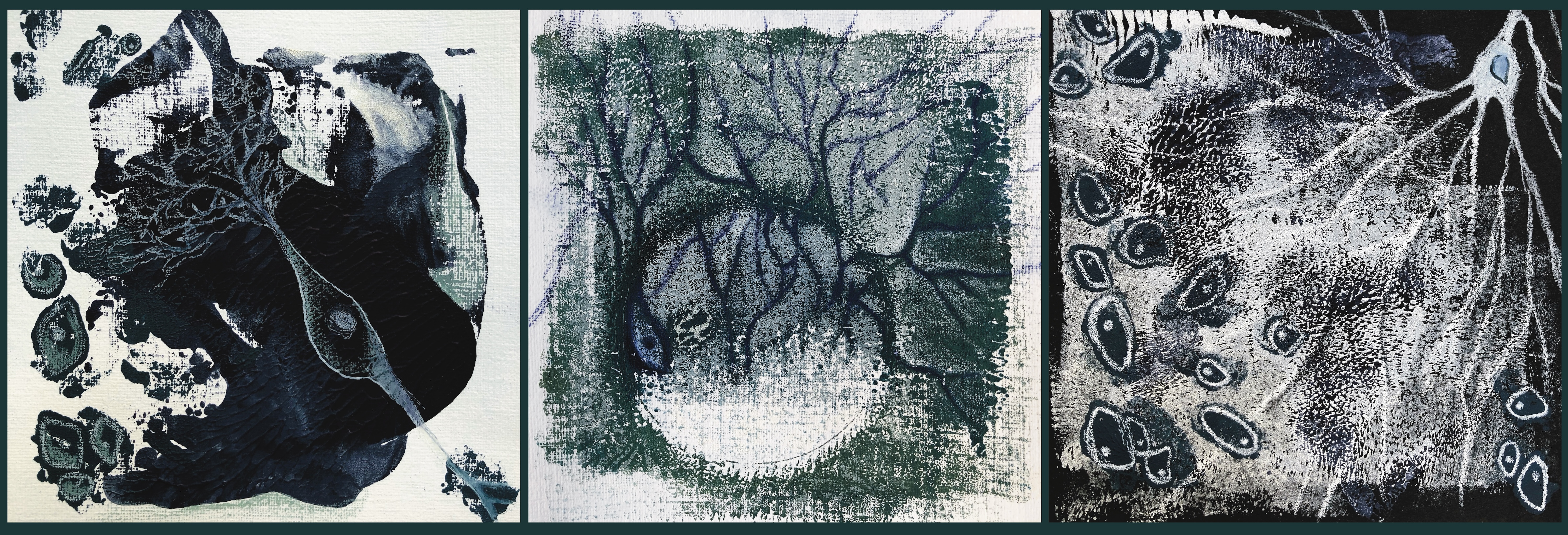 Cover Art Winners Showcase. Neurology Clinical Practice