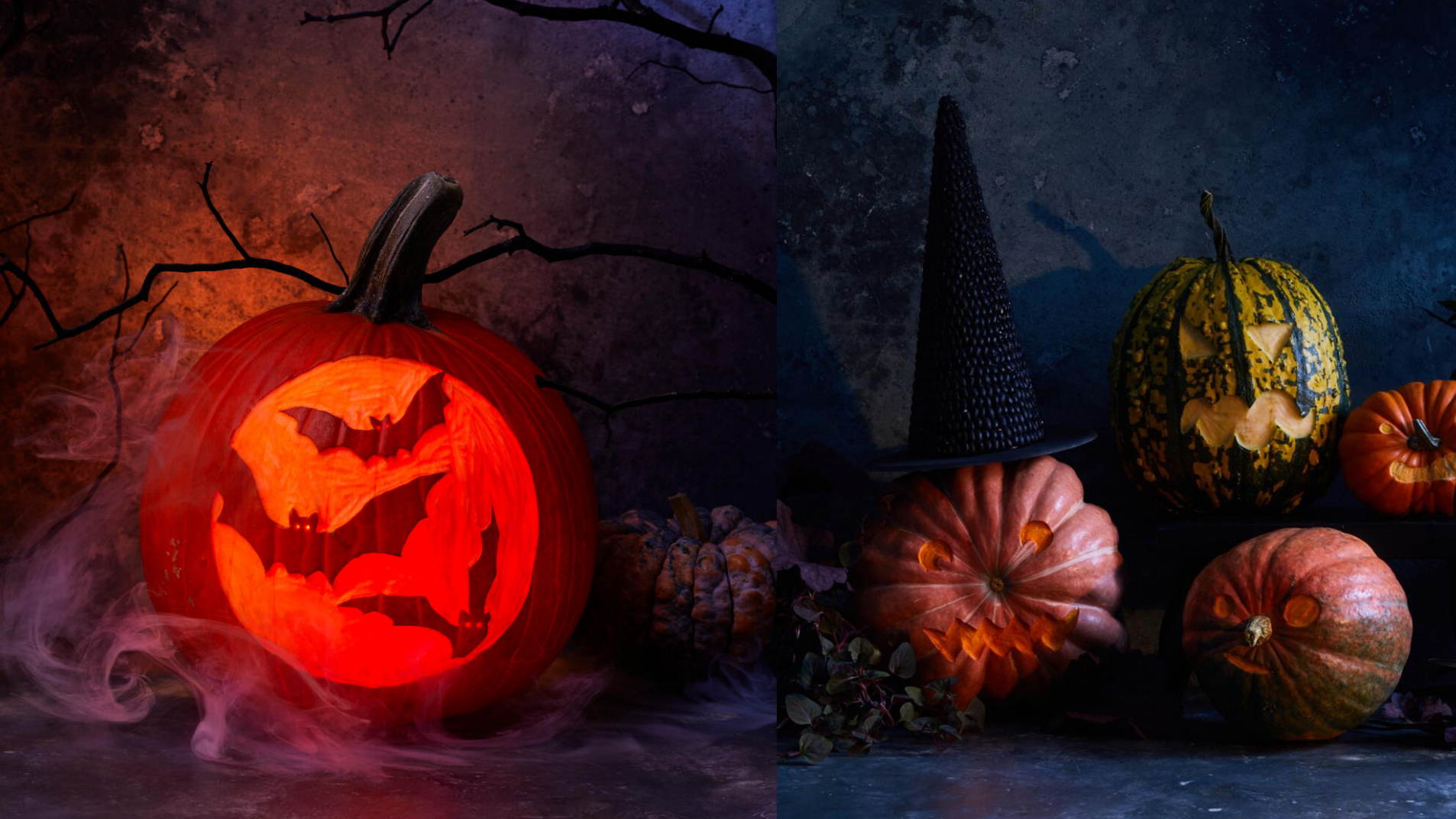 How to Preserve Your Carved Pumpkins This Halloween