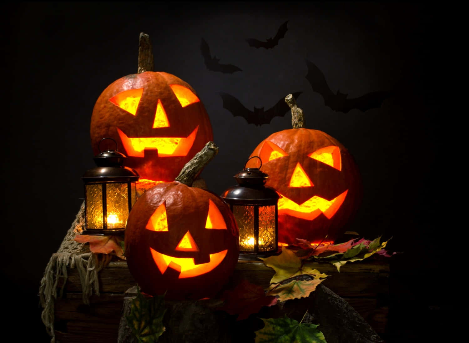 Pumpkin Picture