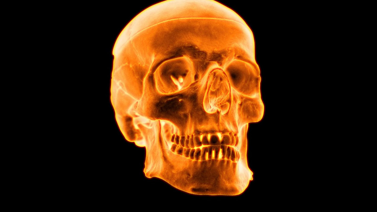 3D Skull Wallpaper HD 05914