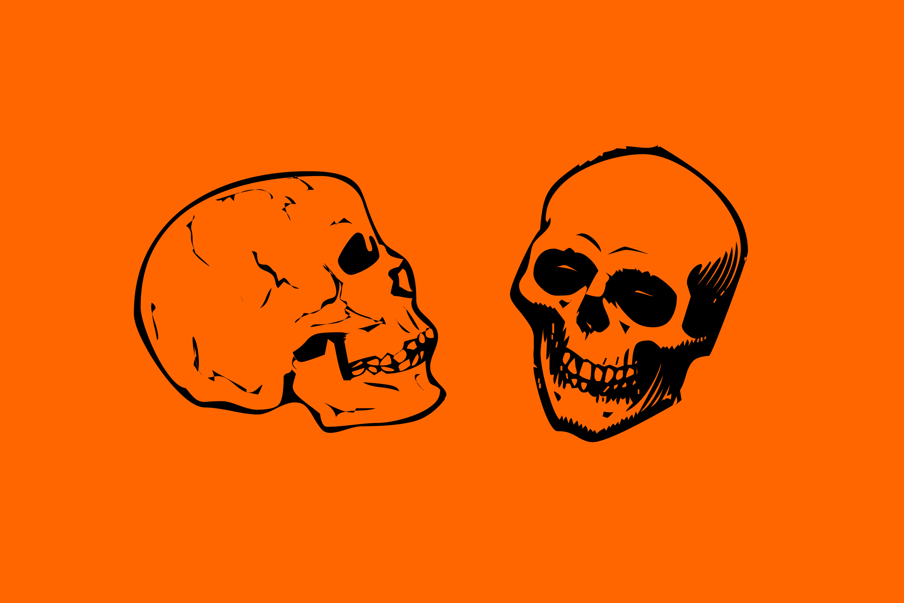 Image of human skulls