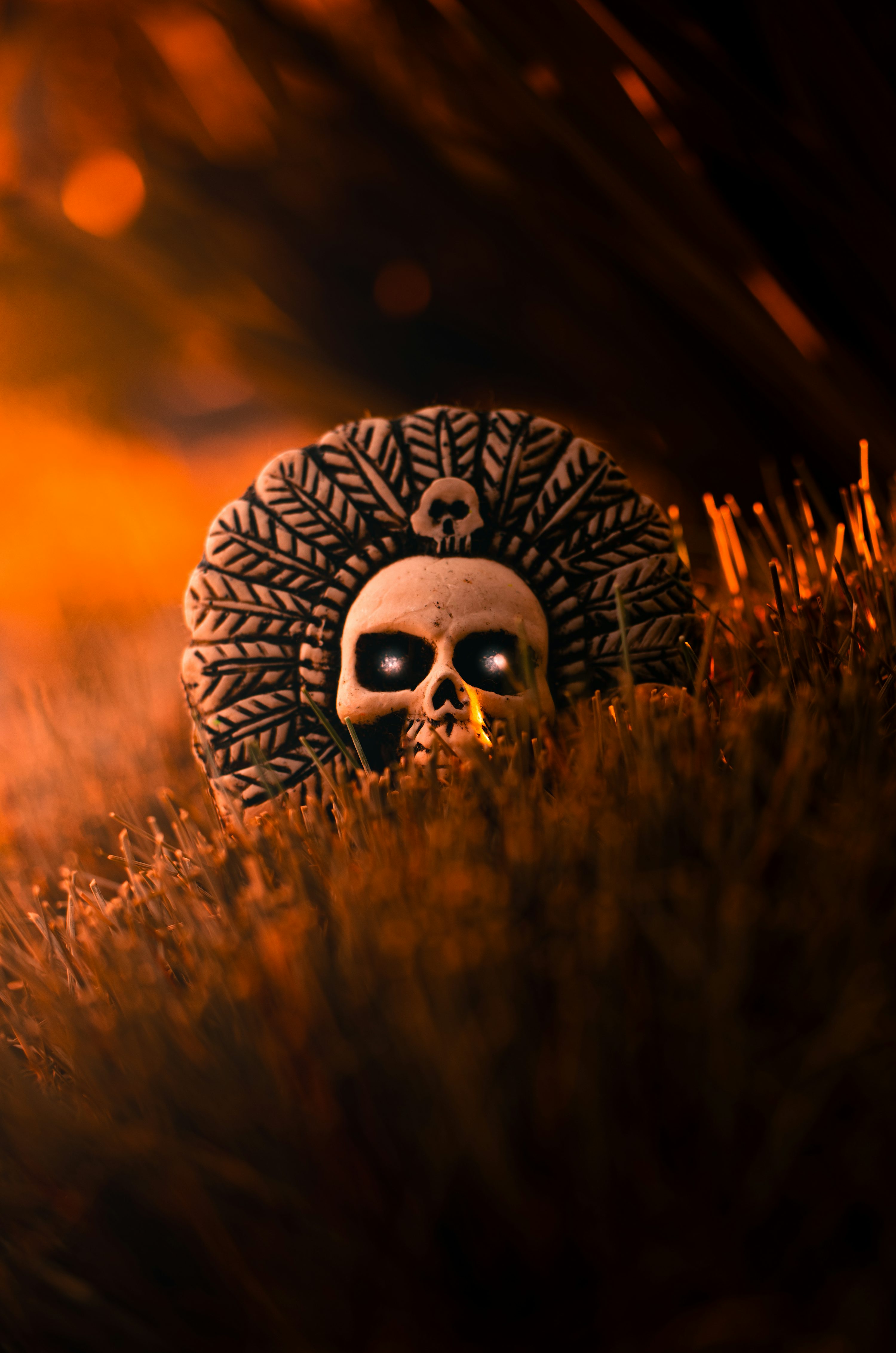 A skull sitting in the middle of a field photo