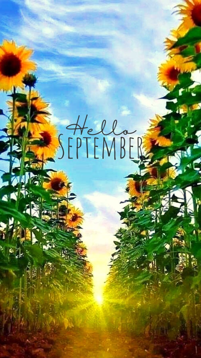 Hello September Wallpaper Hello September IPhone wallpaper Hello September background